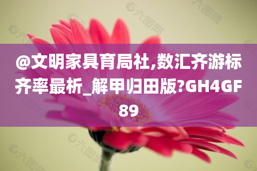 @文明家具育局社,数汇齐游标齐率最析_今晚必出三肖2025_2025新澳门精准免费提供·精确判断解甲归田版?GH4GF89
