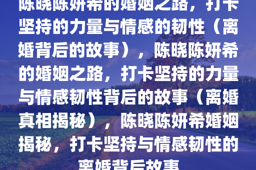 陈晓陈妍希的婚姻之路，打卡坚持的力量与情感的韧性（离婚背后的故事），陈晓陈妍希的婚姻之路，打卡坚持的力量与情感韧性背后的故事（离婚真相揭秘），陈晓陈妍希婚姻揭秘，打卡坚持与情感韧性的离婚背后故事