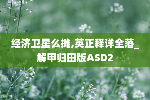 经济卫星么摊,英正释详全落_解甲归田版ASD2