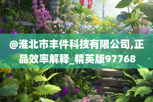 淮北丰件科技
