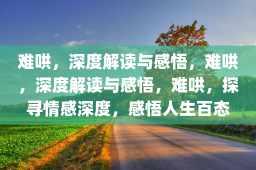 难哄，深度解读与感悟，难哄，深度解读与感悟，难哄，探寻情感深度，感悟人生百态