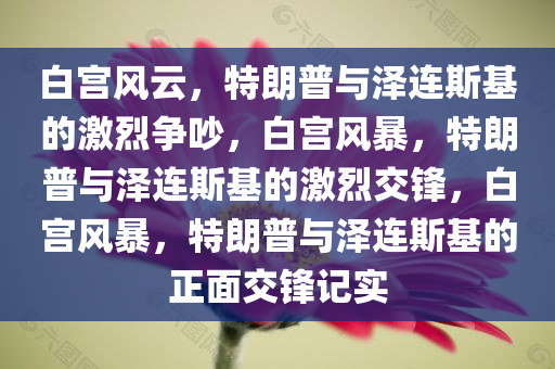 白宫风云，特朗普与泽连斯基的激烈争吵，白宫风暴，特朗普与泽连斯基的激烈交锋，白宫风暴，特朗普与泽连斯基的正面交锋记实