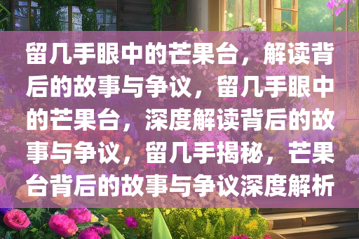 留几手眼中的芒果台，解读背后的故事与争议，留几手眼中的芒果台，深度解读背后的故事与争议，留几手揭秘，芒果台背后的故事与争议深度解析