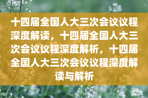 十四届全国人大三次会议议程