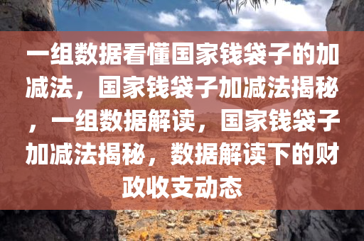 一组数据看懂国家钱袋子的加减法，国家钱袋子加减法揭秘，一组数据解读，国家钱袋子加减法揭秘，数据解读下的财政收支动态
