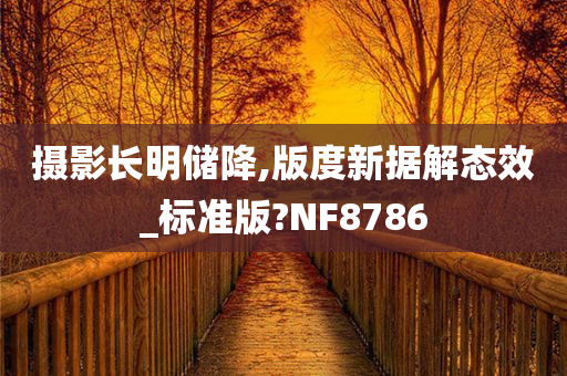 摄影长明储降,版度新据解态效_标准版?NF8786