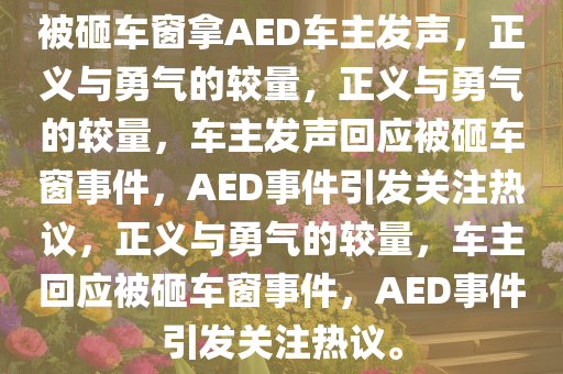 被砸车窗拿AED车主发声，正义与勇气的较量，正义与勇气的较量，车主发声回应被砸车窗事件，AED事件引发关注热议，正义与勇气的较量，车主回应被砸车窗事件，AED事件引发关注热议。