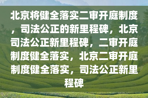 chenyibo 第4页
