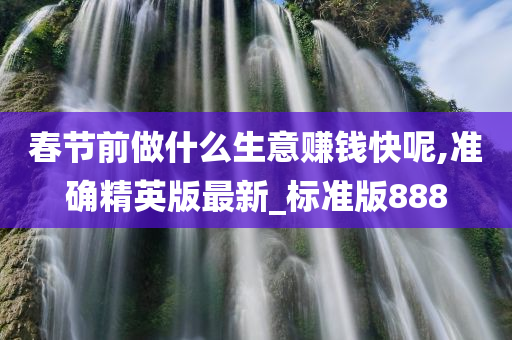 春节前做什么生意赚钱快呢,准确精英版最新_标准版888