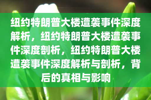 纽约特朗普大楼遭袭事件深度解析，纽约特朗普大楼遭袭事件深度剖析，纽约特朗普大楼遭袭事件深度解析与剖析，背后的真相与影响