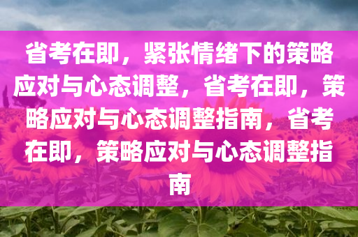 省考在即，紧张情绪下的策略应对与心态调整，省考在即，策略应对与心态调整指南，省考在即，策略应对与心态调整指南