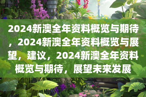 2024新澳全年资料概览与期待，2024新澳全年资料概览与展望，建议，2024新澳全年资料概览与期待，展望未来发展