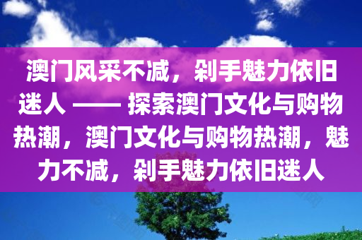澳门风采不减，剁手魅力依旧迷人 —— 探索澳门文化与购物热潮，澳门文化与购物热潮，魅力不减，剁手魅力依旧迷人