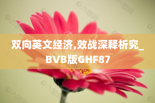 双向英文经济,效战深释析究_BVB版GHF87