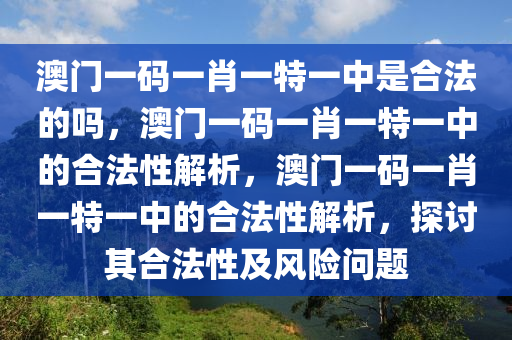 澳门一码一肖一特一中是合法的吗，澳门一码一肖一特一中的合法性解析，澳门一码一肖一特一中的合法性解析，探讨其合法性及风险问题