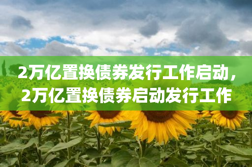 2万亿置换债券发行工作启动，2万亿置换债券启动发行工作