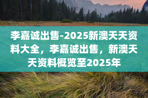 李嘉诚出售-2025新澳天天资料大全，李嘉诚出售，新澳天天资料概览至2025年