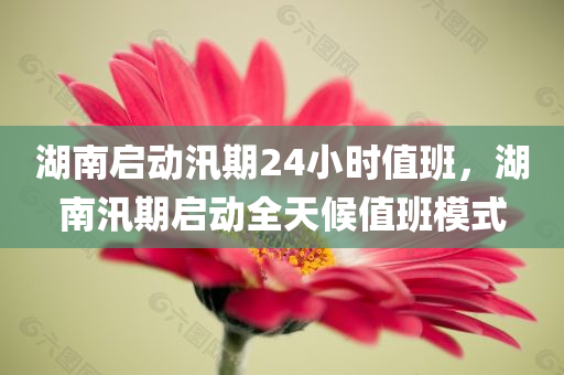 湖南启动汛期24小时值班，湖南汛期启动全天候值班模式，湖南汛期启动全天候值班模式应对汛期紧急状况