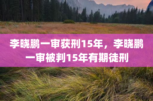 李晓鹏一审获刑15年，李晓鹏一审被判15年有期徒刑，李晓鹏一审被判有期徒刑15年
