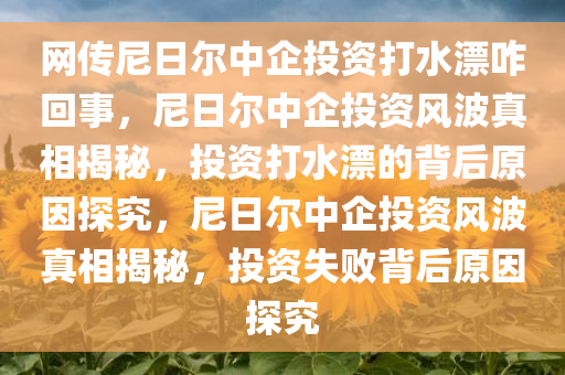 网传尼日尔中企投资打水漂咋回事，尼日尔中企投资风波真相揭秘，投资打水漂的背后原因探究，尼日尔中企投资风波真相揭秘，投资失败背后原因探究