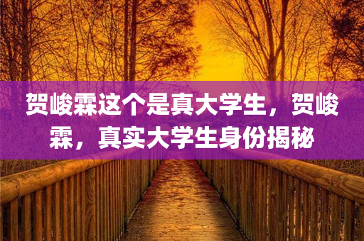 贺峻霖这个是真大学生，贺峻霖，真实大学生身份揭秘