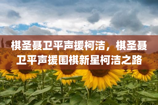 棋圣聂卫平声援柯洁，棋圣聂卫平声援围棋新星柯洁之路