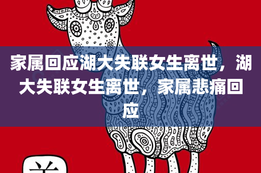 家属回应湖大失联女生离世，湖大失联女生离世，家属悲痛回应，湖大失联女生离世，家属悲痛回应，生命的消逝与无尽的哀思