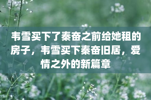韦雪买下了秦奋之前给她租的房子，韦雪买下秦奋旧居，爱情之外的新篇章