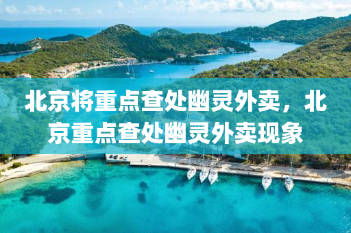 北京将重点查处幽灵外卖，北京重点查处幽灵外卖现象