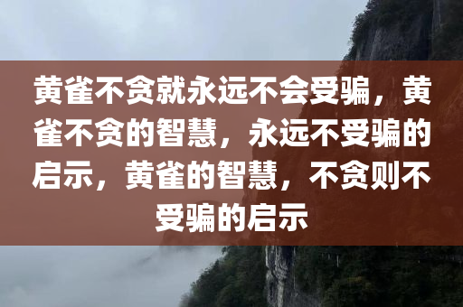 黄雀不贪就永远不会受骗，黄雀不贪的智慧，永远不受骗的启示，黄雀的智慧，不贪则不受骗的启示