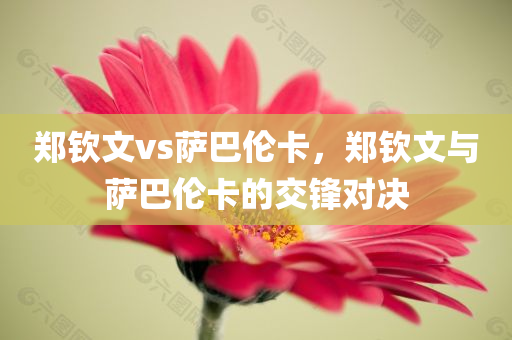 郑钦文vs萨巴伦卡，郑钦文与萨巴伦卡的交锋对决