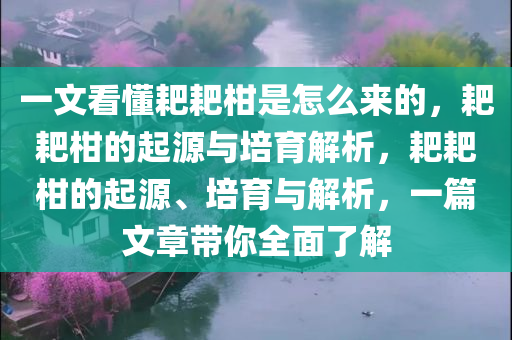 一文看懂耙耙柑是怎么来的，耙耙柑的起源与培育解析，耙耙柑的起源、培育与解析，一篇文章带你全面了解今晚必出三肖2025_2025新澳门精准免费提供·精确判断