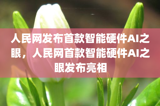 人民网发布首款智能硬件AI之眼，人民网首款智能硬件AI之眼发布亮相
