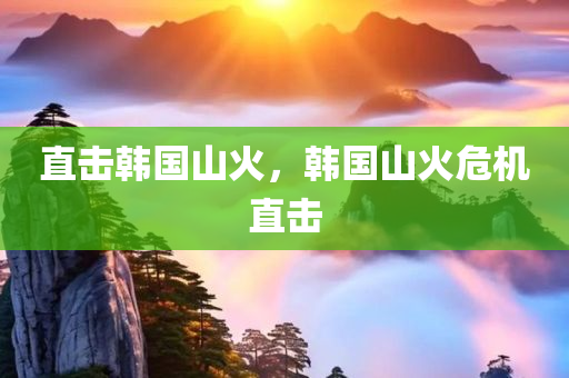 直击韩国山火，韩国山火危机直击