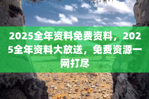 2025全年资料免费资料，2025全年资料大放送，免费资源一网打尽