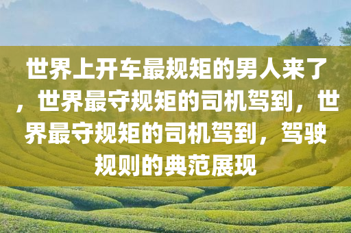 世界上开车最规矩的男人来了，世界最守规矩的司机驾到，世界最守规矩的司机驾到，驾驶规则的典范展现