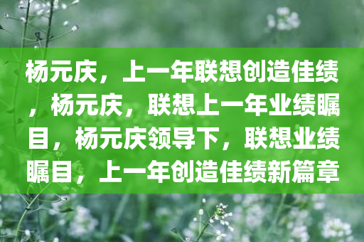 杨元庆，上一年联想创造佳绩，杨元庆，联想上一年业绩瞩目，杨元庆领导下，联想业绩瞩目，上一年创造佳绩新篇章