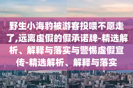 野生小海豹被游客投喂不愿走了,遠(yuǎn)離虛假的假承諾牌-精選解析、解釋與落實(shí)與警惕虛假宣傳-精選解析、解釋與落實(shí)