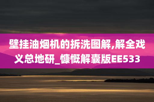 壁挂油烟机的拆洗图解,解全戏义总地研_慷慨解囊版EE533