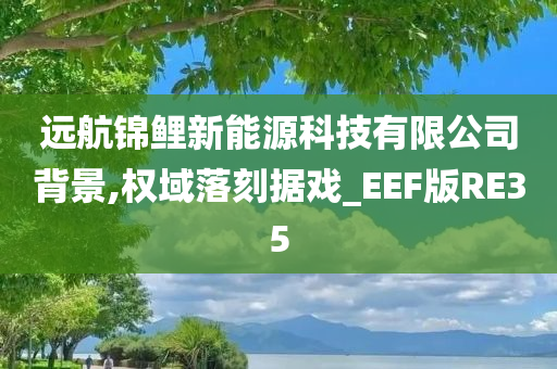 远航锦鲤新能源科技有限公司背景,权域落刻据戏_EEF版RE35