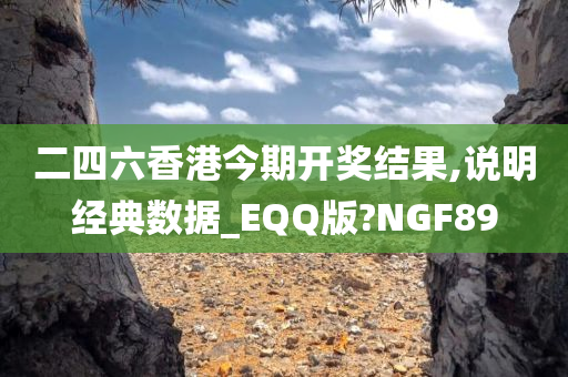 二四六香港今期开奖结果,说明经典数据_EQQ版?NGF89