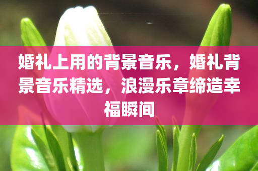 婚礼上用的背景音乐