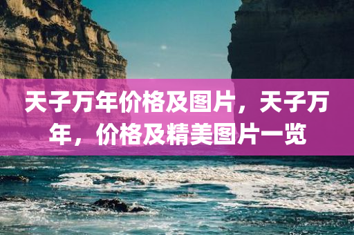 天子万年价格及图片