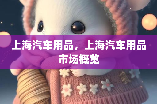 上海汽车用品