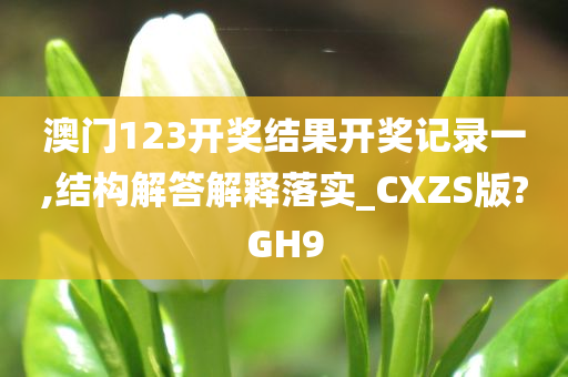 澳门 第19页