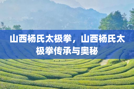 山西杨氏太极拳