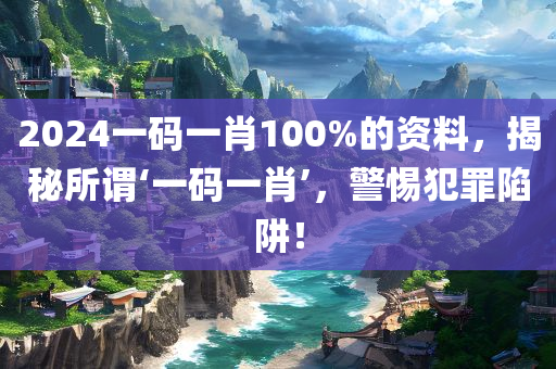 2024一码一肖100%的资料