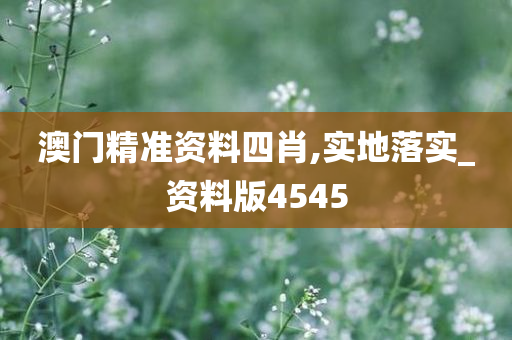 澳门 第14页