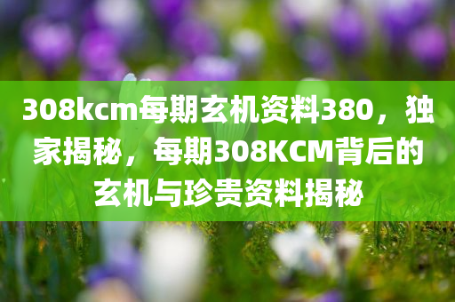 308kcm每期玄机资料380，独家揭秘，每期308KCM背后的玄机与珍贵资料揭秘