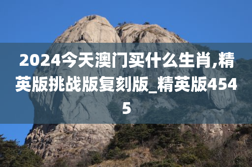 2024今天澳门买什么生肖